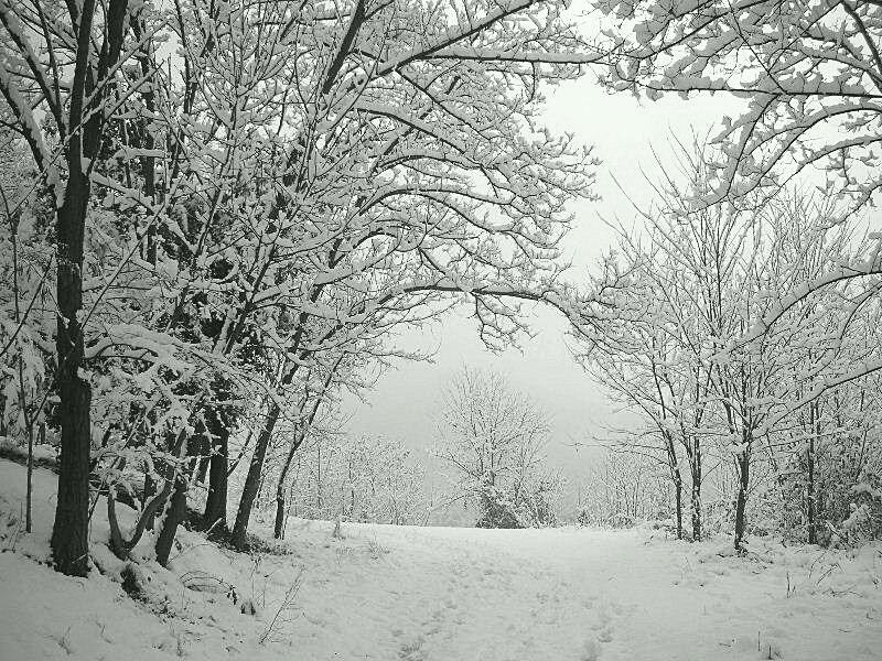 Panorami innevati